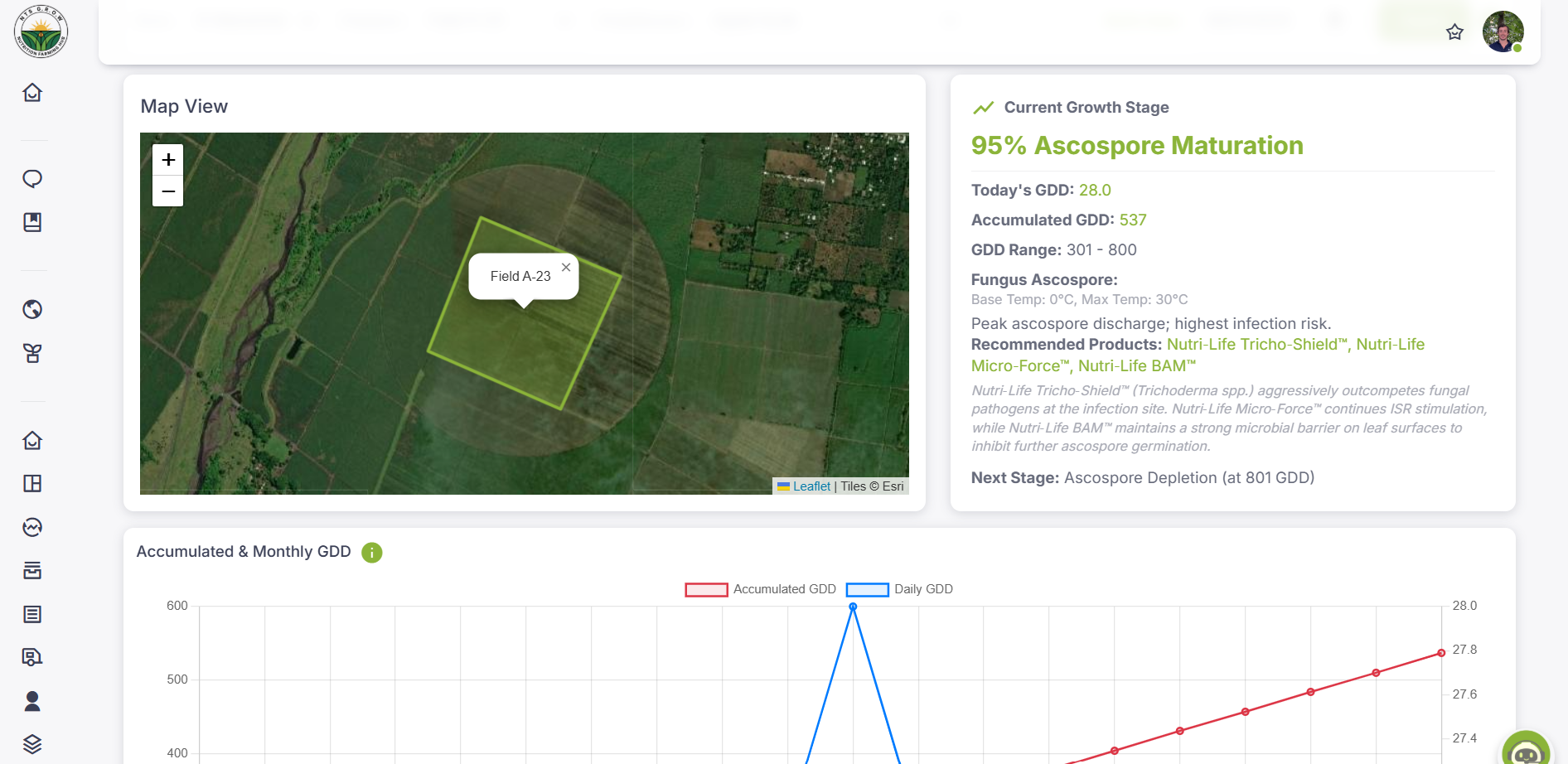 Dashboard report